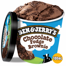 Ben & Jerry's Chocolate Fudge Brownie 12x100ml