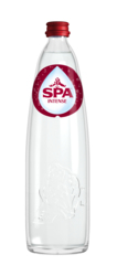 Spa Rood 6x100cl