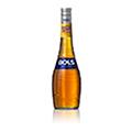 Bols Apricot Brandy 24% 0,7L