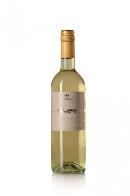 Pinot Grigio Re Teodorico Venezi  75cl