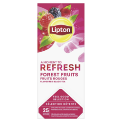Lipton Bosvruchten Thee x25zk