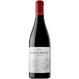 Torres Malpastor fles 75 cl