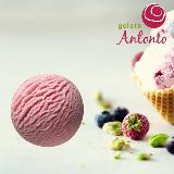 Aardbei IJs Antonio 5L