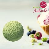 Groene Thee IJs Antonio 5L