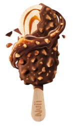 Domini Salted Caramel/Australian Macadamia 20x90ml